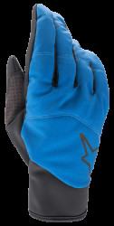 Denali 2 Gloves