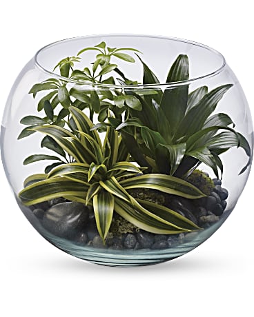 Green | Mixed Bouquets | Sphere Of Tranquility Terrarium | Same Day Flower Delivery by Teleflora