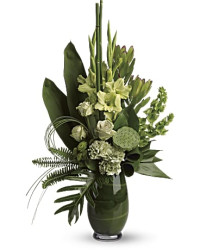 Green | Roses | Limelight Bouquet | Same Day Flower Delivery by Teleflora