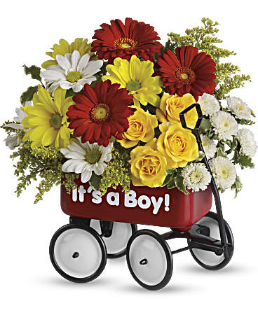 Multi-Colored | Mixed Bouquets | Baby's Wow Wagon | Same Day Flower Delivery by Teleflora