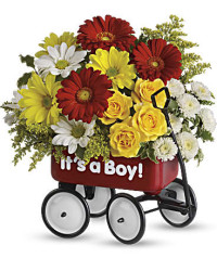 Multi-Colored | Mixed Bouquets | Baby's Wow Wagon | Same Day Flower Delivery by Teleflora