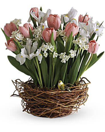 Multi-Colored | Mixed Bouquets | Tulip Song | Same Day Flower Delivery by Teleflora