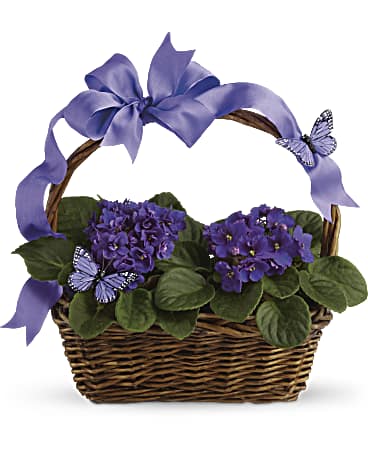Multi-Colored | Mixed Bouquets | Violets And Butterflies | Same Day Flower Delivery by Teleflora