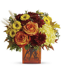 Multi-Colored | Roses | Autumn Expression Bouquet | Same Day Flower Delivery by Teleflora