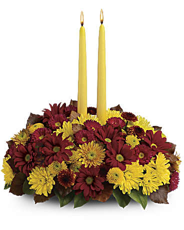 Multi-Colored | Asters | Harvest Happiness Centerpiece | Same Day Flower Delivery by Teleflora
