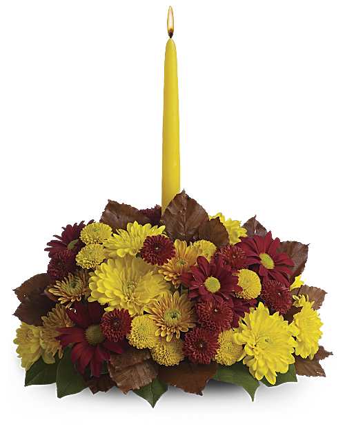 Multi-Colored | Asters | Harvest Happiness Centerpiece | Same Day Flower Delivery by Teleflora