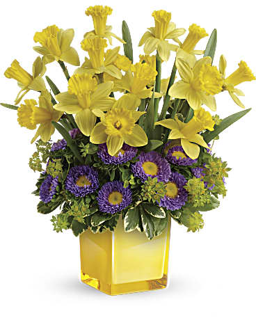 Multi-Colored | Asters | Playful Springtime Daffodil Bouquet | Same Day Flower Delivery by Teleflora