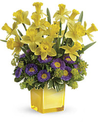 Multi-Colored | Asters | Playful Springtime Daffodil Bouquet | Same Day Flower Delivery by Teleflora