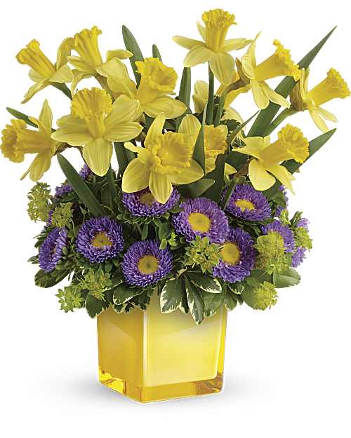 Multi-Colored | Asters | Playful Springtime Daffodil Bouquet | Same Day Flower Delivery by Teleflora