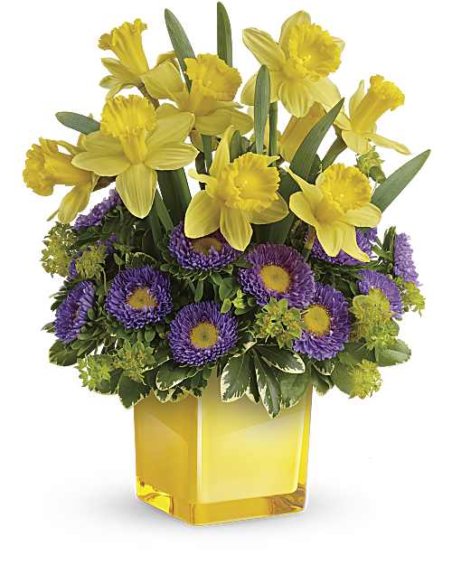 Multi-Colored | Asters | Playful Springtime Daffodil Bouquet | Same Day Flower Delivery by Teleflora