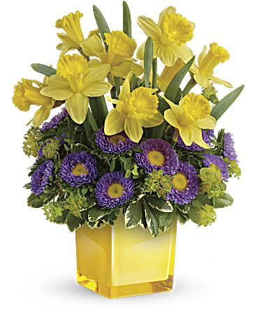Multi-Colored | Asters | Playful Springtime Daffodil Bouquet | Same Day Flower Delivery by Teleflora