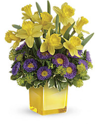 Multi-Colored | Asters | Playful Springtime Daffodil Bouquet | Same Day Flower Delivery by Teleflora
