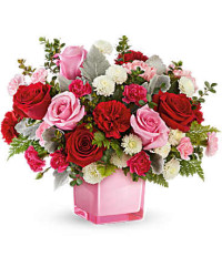 Multi-Colored | Carnations | Tranquil Love Bouquet | Same Day Flower Delivery by Teleflora