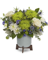 Multi-Colored | Chrysanthemums | Modern Chic Bouquet | Same Day Flower Delivery by Teleflora