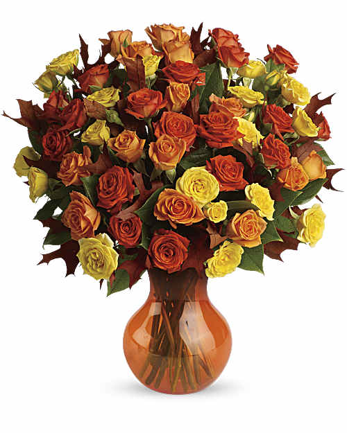 Multi-Colored | Fabulous Fall Roses | Same Day Flower Delivery by Teleflora