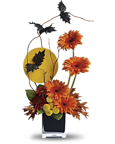 Multi-Colored | Gerberas | Boo-Tiful Bats | Same Day Flower Delivery by Teleflora