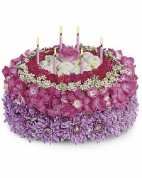 Multi-Colored | Hydrangeas | Your Special Day | Same Day Flower Delivery by Teleflora