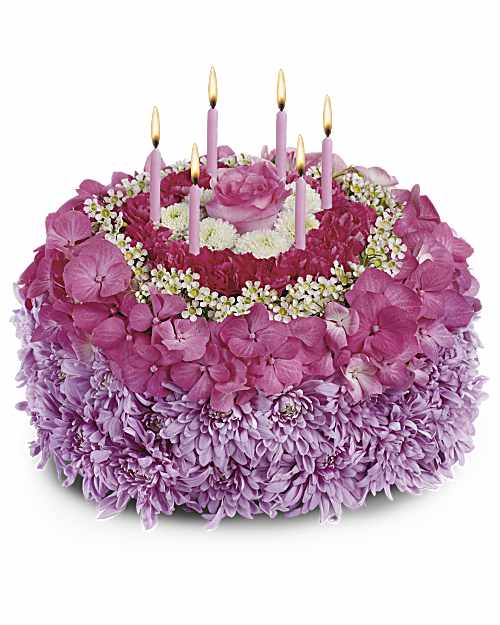 Multi-Colored | Hydrangeas | Your Special Day | Same Day Flower Delivery by Teleflora