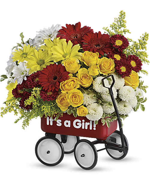 Multi-Colored | Mixed Bouquets | Baby's Wow Wagon | Same Day Flower Delivery by Teleflora