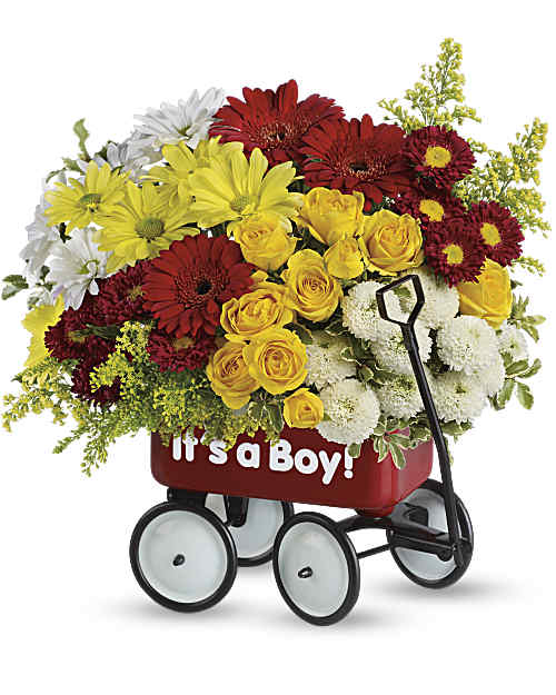 Multi-Colored | Mixed Bouquets | Baby's Wow Wagon | Same Day Flower Delivery by Teleflora