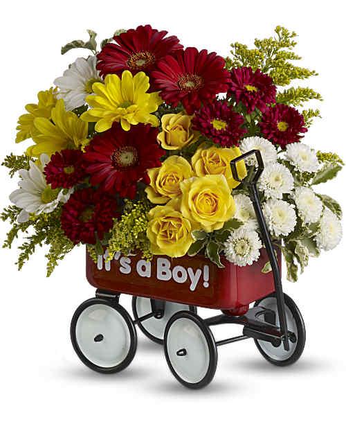 Multi-Colored | Mixed Bouquets | Baby's Wow Wagon | Same Day Flower Delivery by Teleflora