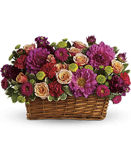 Multi-Colored | Mixed Bouquets | Burst Of Beauty Basket | Same Day Flower Delivery by Teleflora