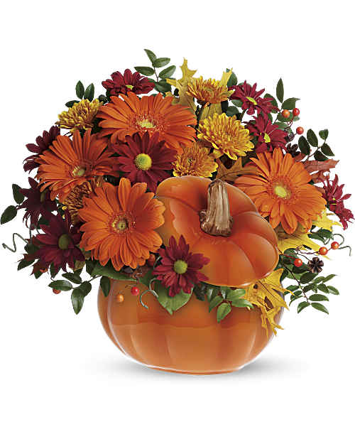 Multi-Colored | Mixed Bouquets | Country Pumpkin | Same Day Flower Delivery by Teleflora