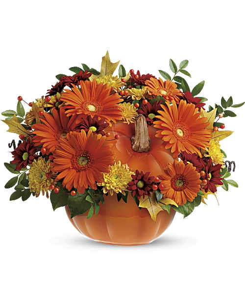 Multi-Colored | Mixed Bouquets | Country Pumpkin | Same Day Flower Delivery by Teleflora