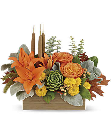 Multi-Colored | Mixed Bouquets | Fall Bamboo Garden | Same Day Flower Delivery by Teleflora