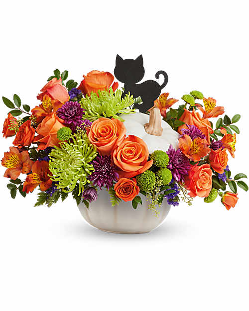 Multi-Colored | Mixed Bouquets | Haunted Harvest Bouquet | Same Day Flower Delivery by Teleflora