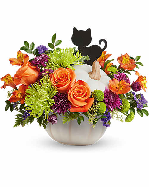 Multi-Colored | Mixed Bouquets | Haunted Harvest Bouquet | Same Day Flower Delivery by Teleflora