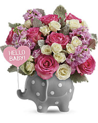 Multi-Colored | Mixed Bouquets | Hello Sweet Baby | Same Day Flower Delivery by Teleflora