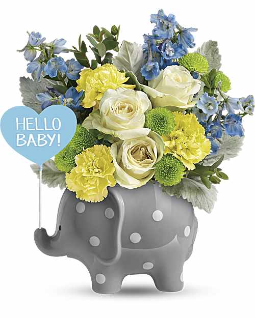 Multi-Colored | Mixed Bouquets | Hello Sweet Baby | Same Day Flower Delivery by Teleflora