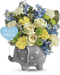 Multi-Colored | Mixed Bouquets | Hello Sweet Baby | Same Day Flower Delivery by Teleflora