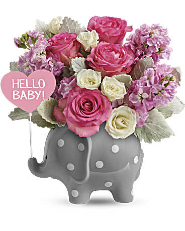 Multi-Colored | Mixed Bouquets | Hello Sweet Baby | Same Day Flower Delivery by Teleflora