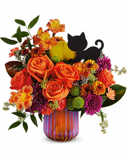 Multi-Colored | Mixed Bouquets | Midnight Meow Bouquet | Same Day Flower Delivery by Teleflora