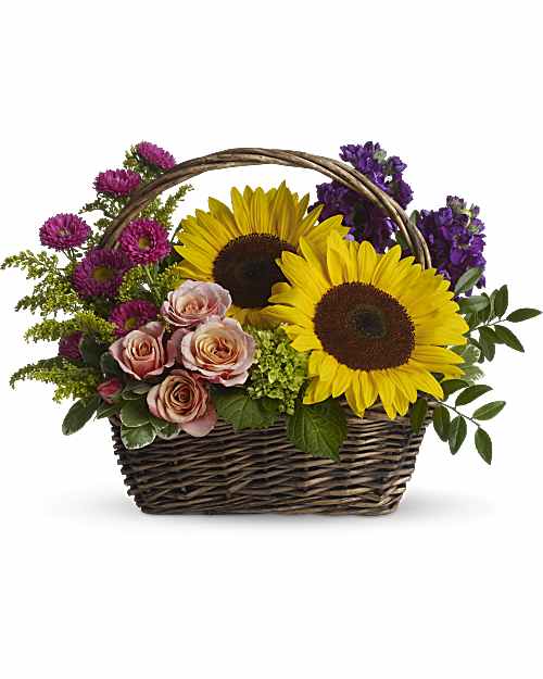Multi-Colored | Mixed Bouquets | Picnic In The Park | Same Day Flower Delivery by Teleflora