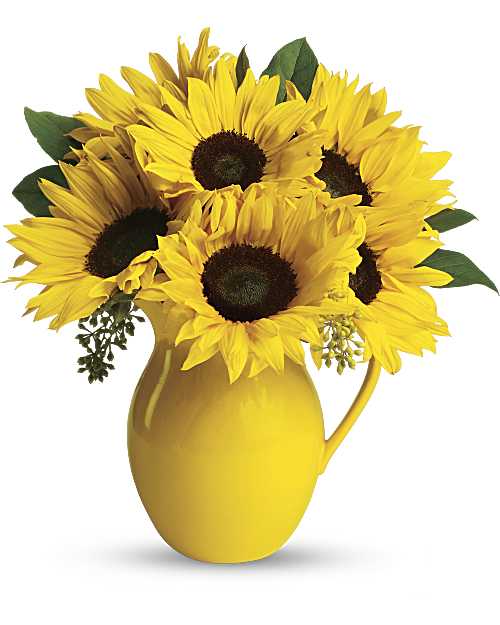 Multi-Colored | Mixed Bouquets | Sunny Day Pitcher Of Sunflowers Bouquet | Same Day Flower Delivery by Teleflora