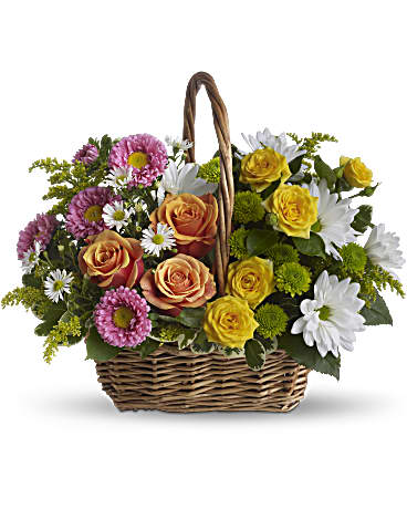 Multi-Colored | Mixed Bouquets | Sweet Tranquility Basket | Same Day Flower Delivery by Teleflora