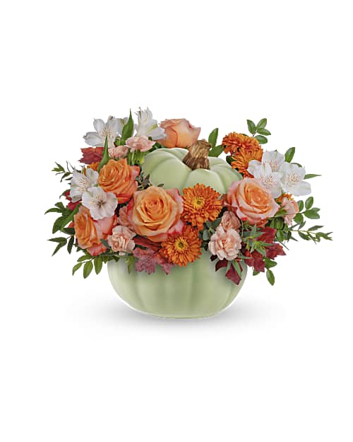 Multi-Colored | Mixed Bouquets | Whimsy Pumpkin Bouquet | Same Day Flower Delivery by Teleflora