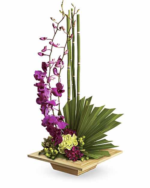 Multi-Colored | Mixed Bouquets | Zen Artistry Bouquet | Same Day Flower Delivery by Teleflora