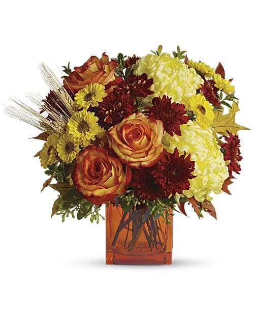 Multi-Colored | Roses | Autumn Expression Bouquet | Same Day Flower Delivery by Teleflora