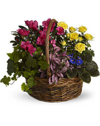 Multi-Colored | Roses | Blooming Garden Basket | Same Day Flower Delivery by Teleflora