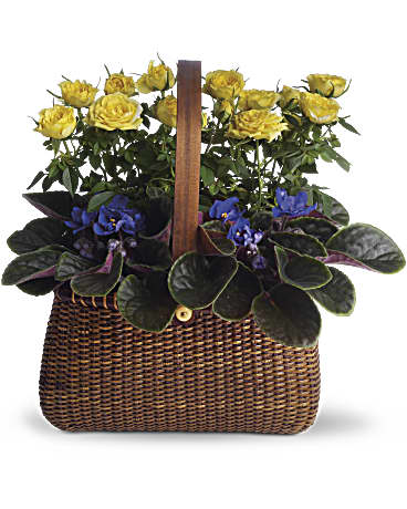 Multi-Colored | Roses | Garden To Go Basket | Same Day Flower Delivery by Teleflora
