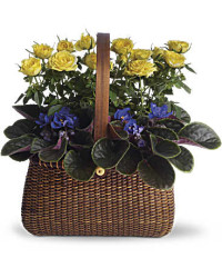 Multi-Colored | Roses | Garden To Go Basket | Same Day Flower Delivery by Teleflora