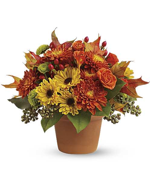 Multi-Colored | Roses | Sugar Maples | Same Day Flower Delivery by Teleflora