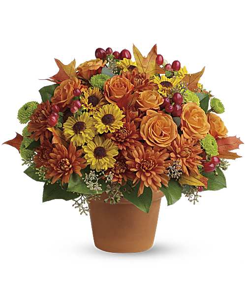 Multi-Colored | Roses | Sugar Maples | Same Day Flower Delivery by Teleflora
