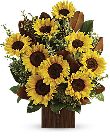 Multi-Colored | Sunflowers | You're Golden Bouquet | Same Day Flower Delivery by Teleflora