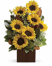 Multi-Colored | Sunflowers | You're Golden Bouquet | Same Day Flower Delivery by Teleflora