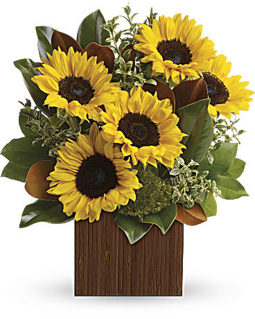 Multi-Colored | Sunflowers | You're Golden Bouquet | Same Day Flower Delivery by Teleflora